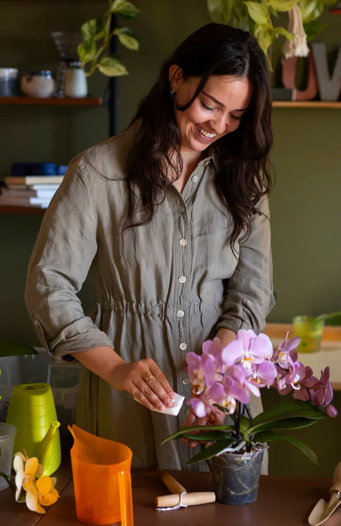Comment entretenir vos bouquets : guide pratique pour des fleurs durables